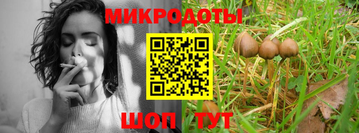 Туймазы  Псилоцибиновые грибы Psilocybe  Вход с VPN 